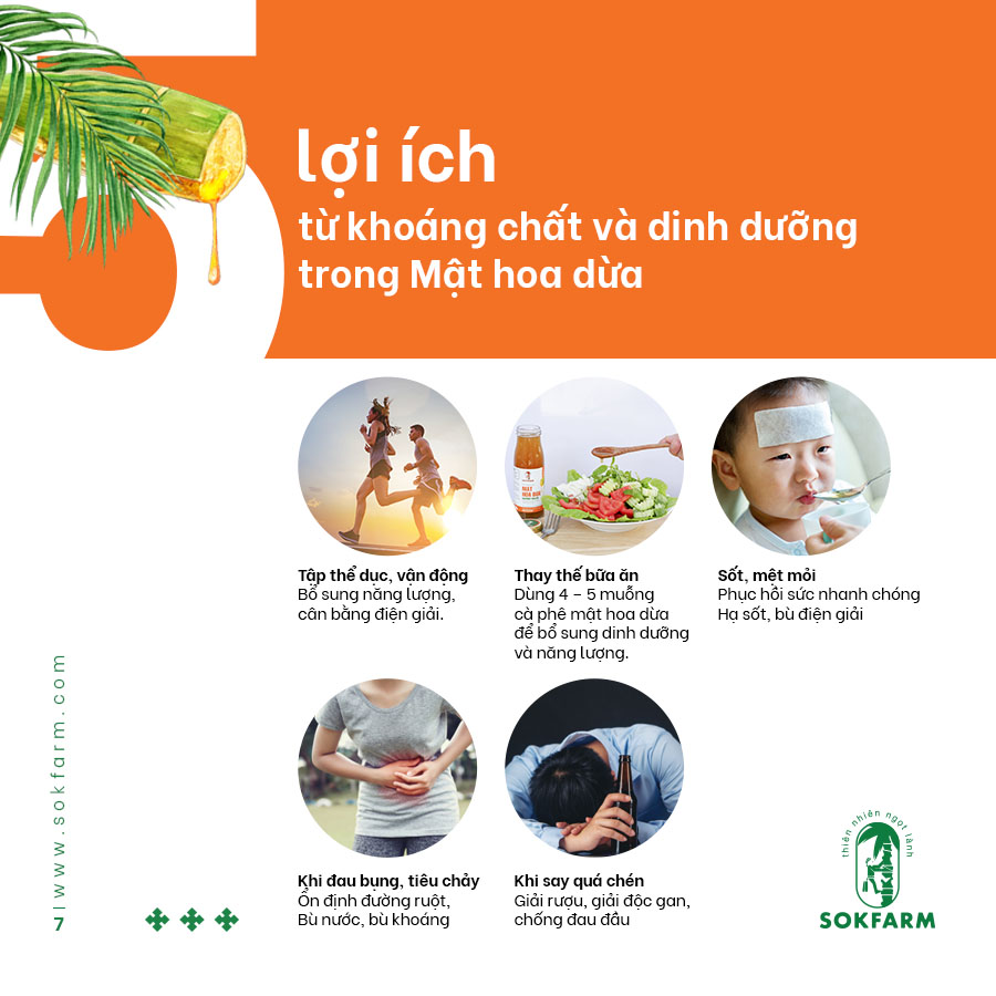 Mật hoa dừa Sokfarm