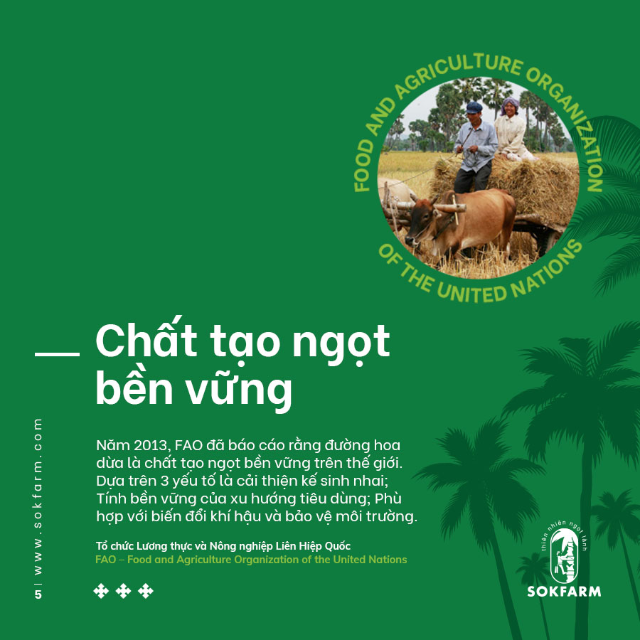 Mật hoa dừa Sokfarm