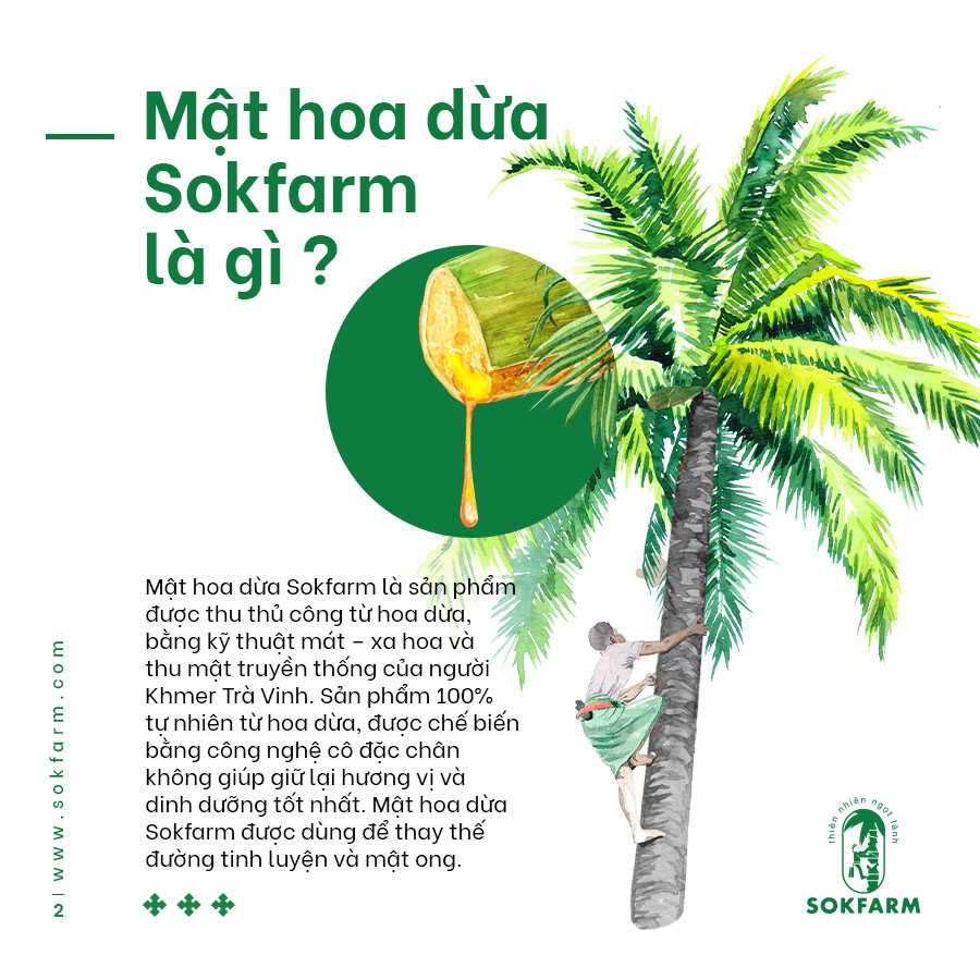 Mật hoa dừa Sokfarm