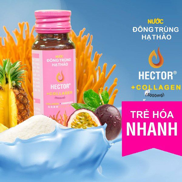 Nước đông trùng hạ thảo Hector Collagen