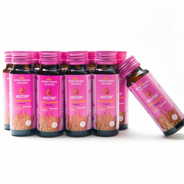 Nước đông trùng hạ thảo Hector Collagen